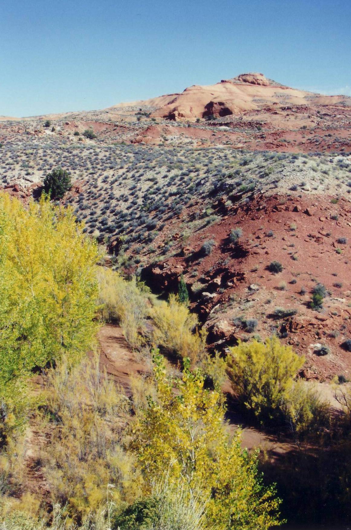 Zwischenhalt auf dem Weg vom Captiol Reef National Park.....