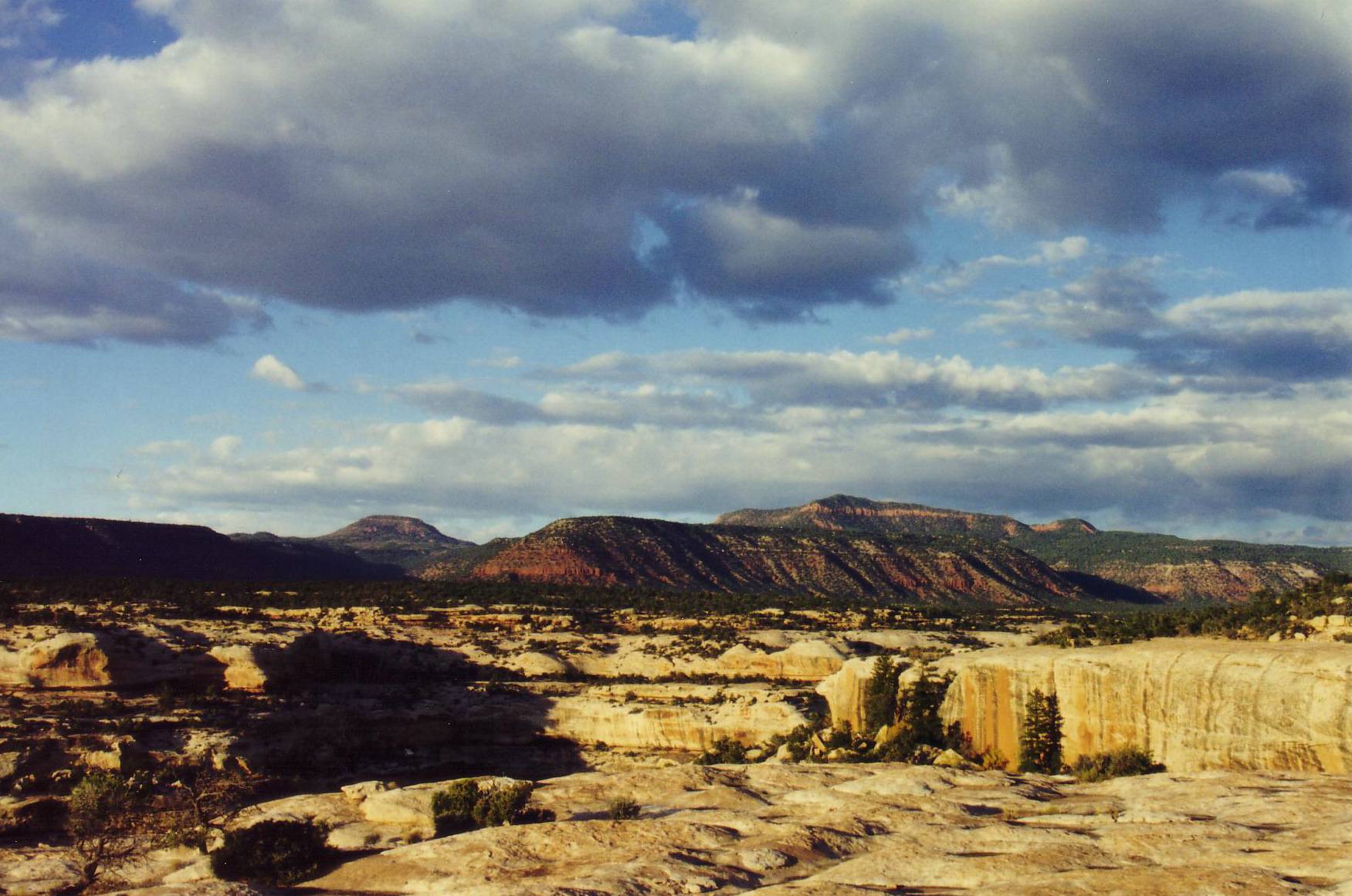 Natural Bridges National Monument