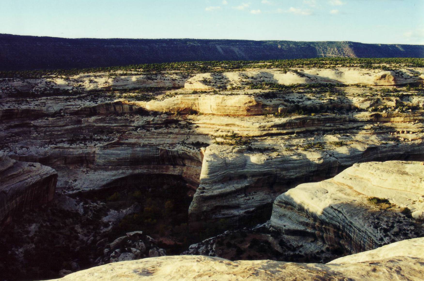 Auch das Natural Bridges National Monument gibt es einm.....