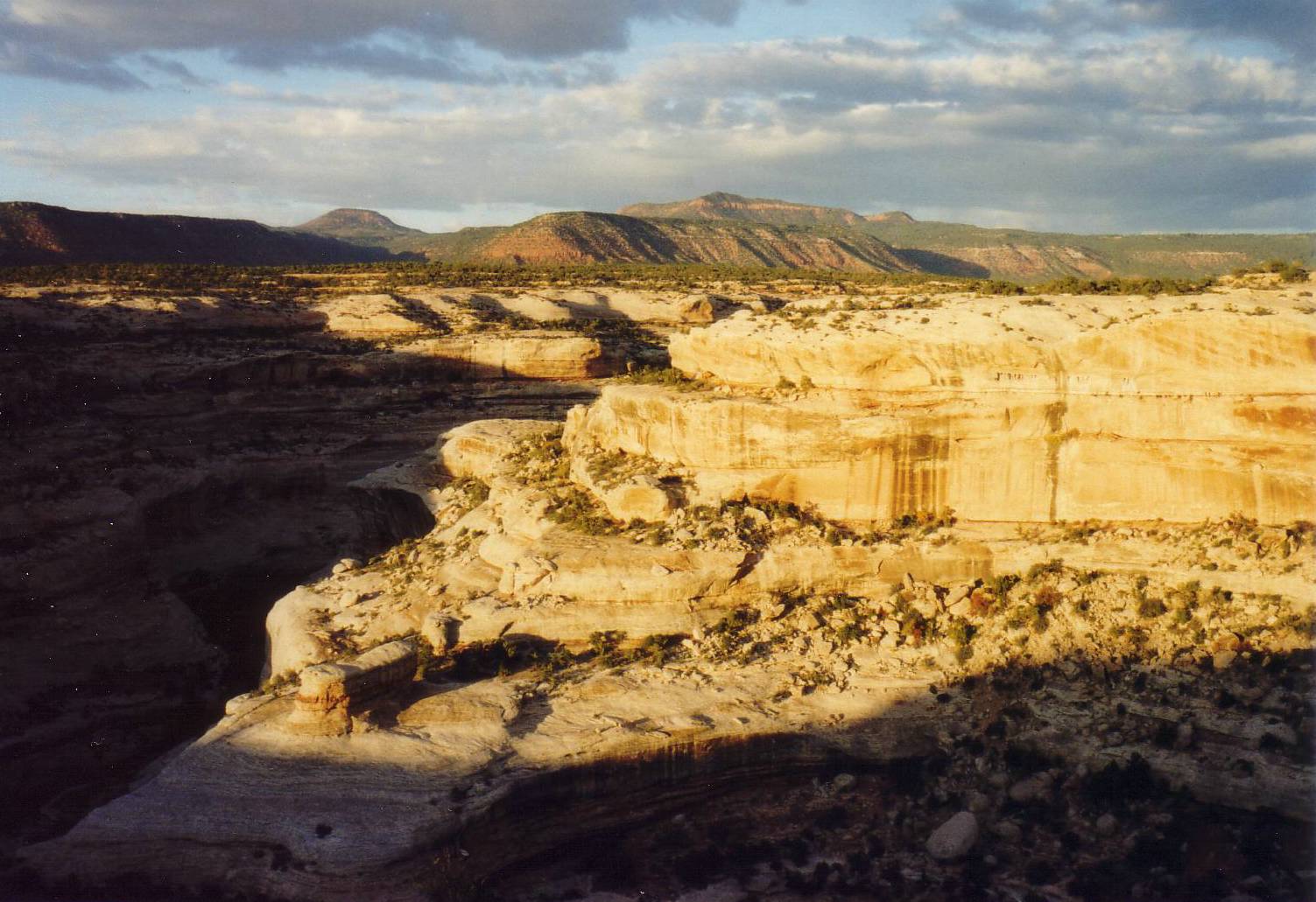 Natural Bridges National Monument