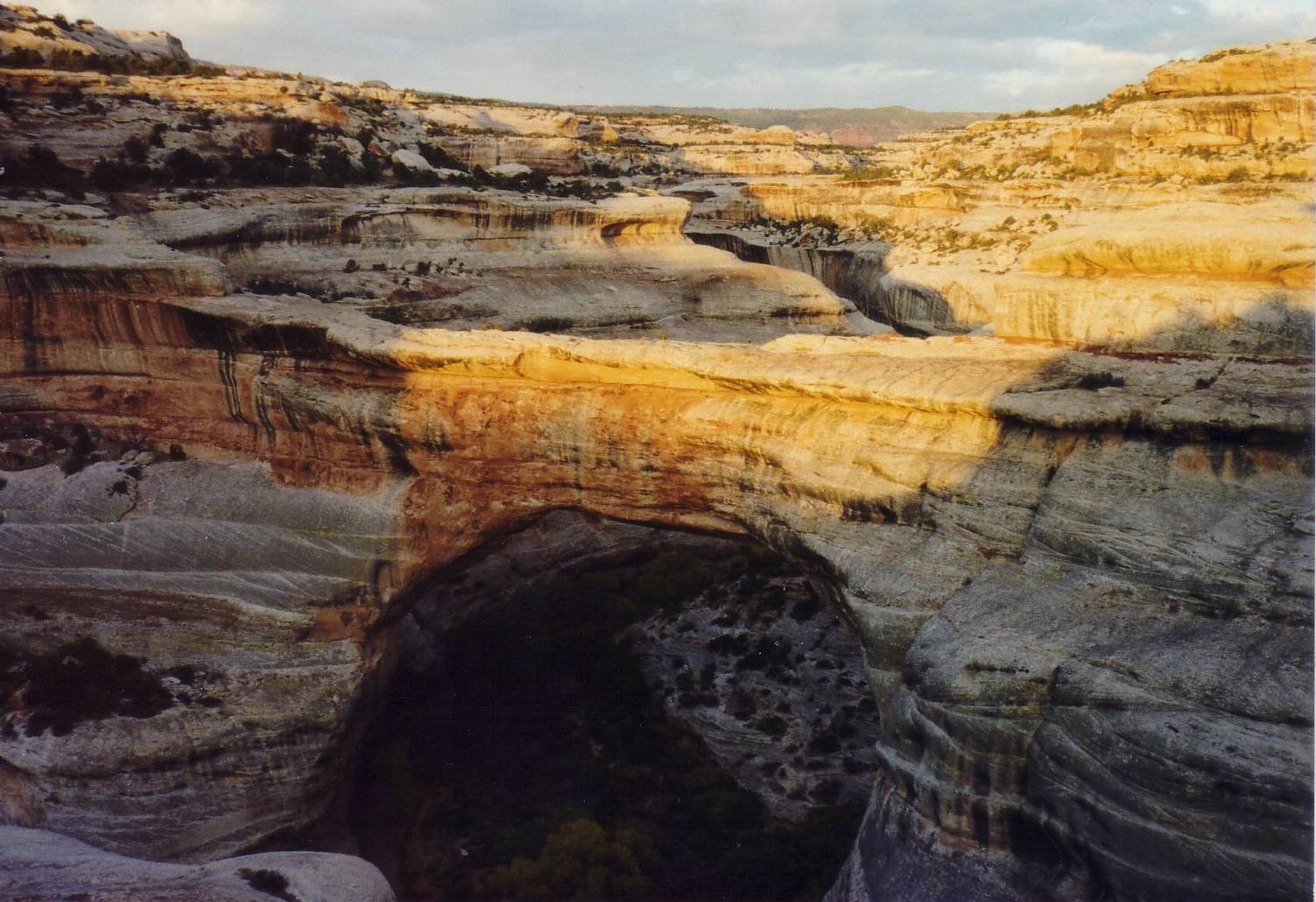 Einer der gr&ouml;ssten Steinb&ouml;gen (Natural Bridge) des Natu.....
