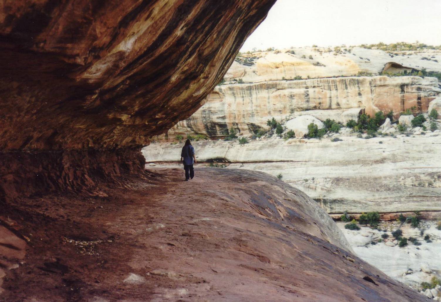 J&uuml;rg beim Abendspatziergang im Natural Bridges N.....