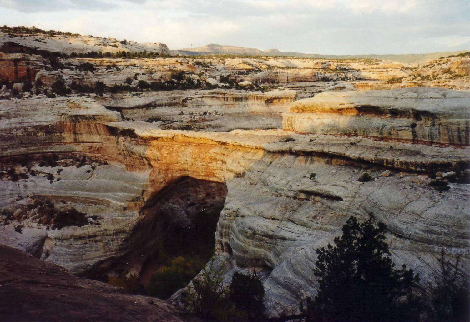 Die gr&ouml;sste nat&uuml;rliche Br&uuml;cke im Natural Bridges Nation.....