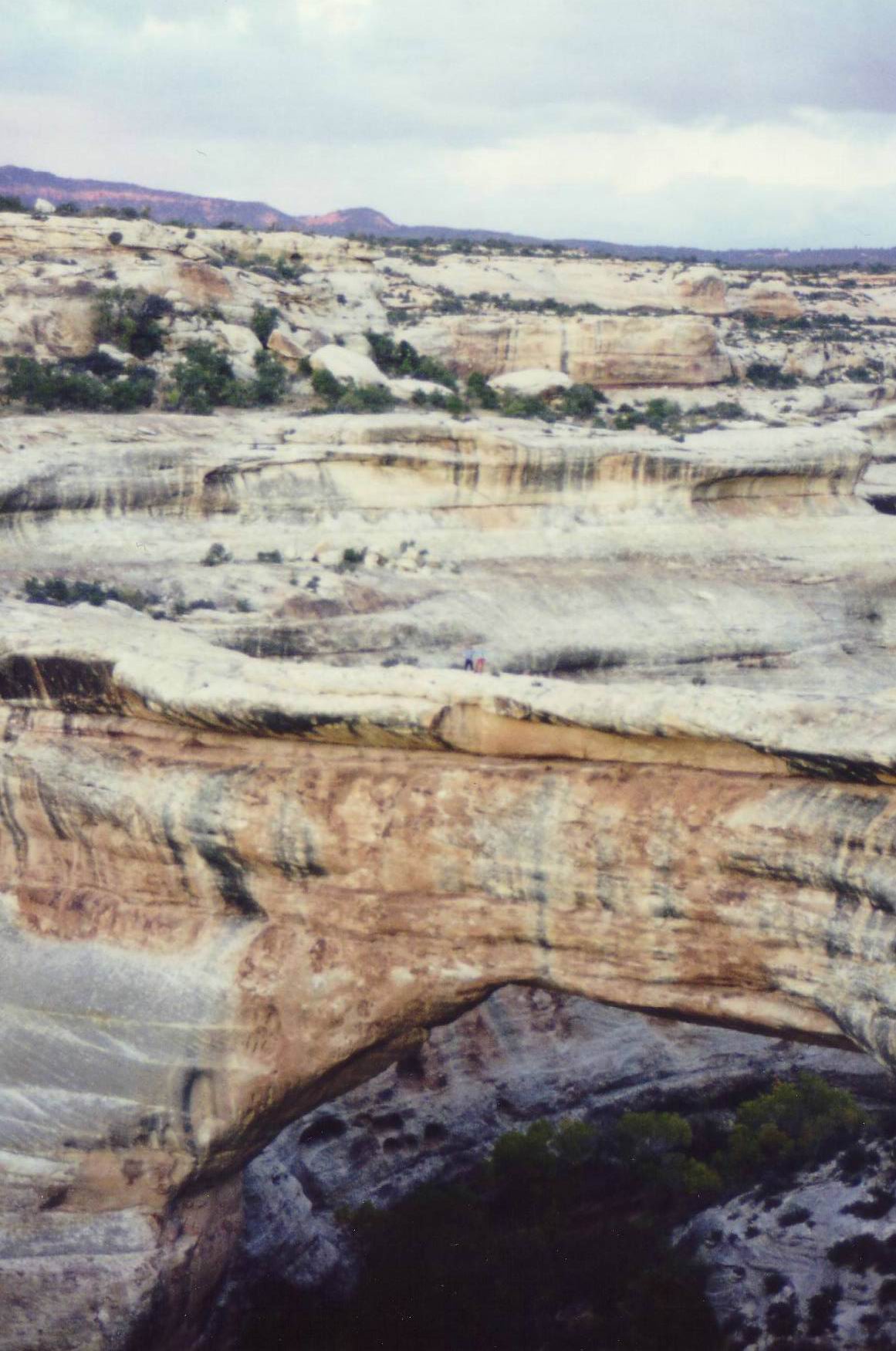 J&uuml;rg und Stefan (ganz klein) auf einer der riesigen nat.....