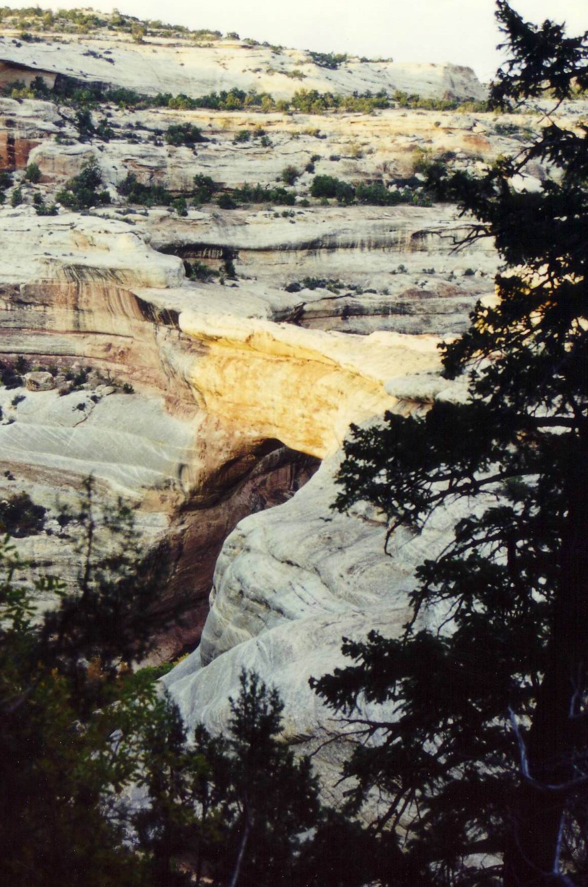 Natural Bridges National Monument