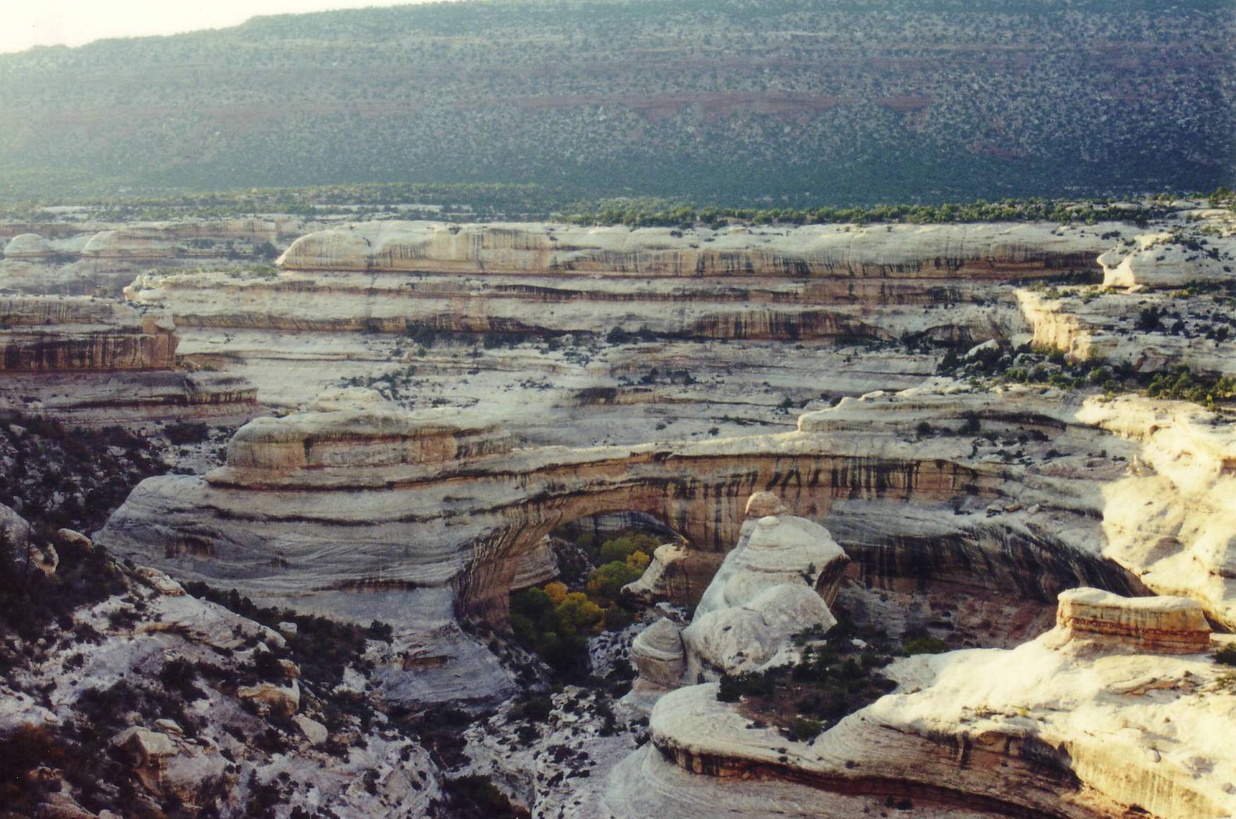 Ausblick &uuml;ber die Schlucht des Natural Bridges National.....