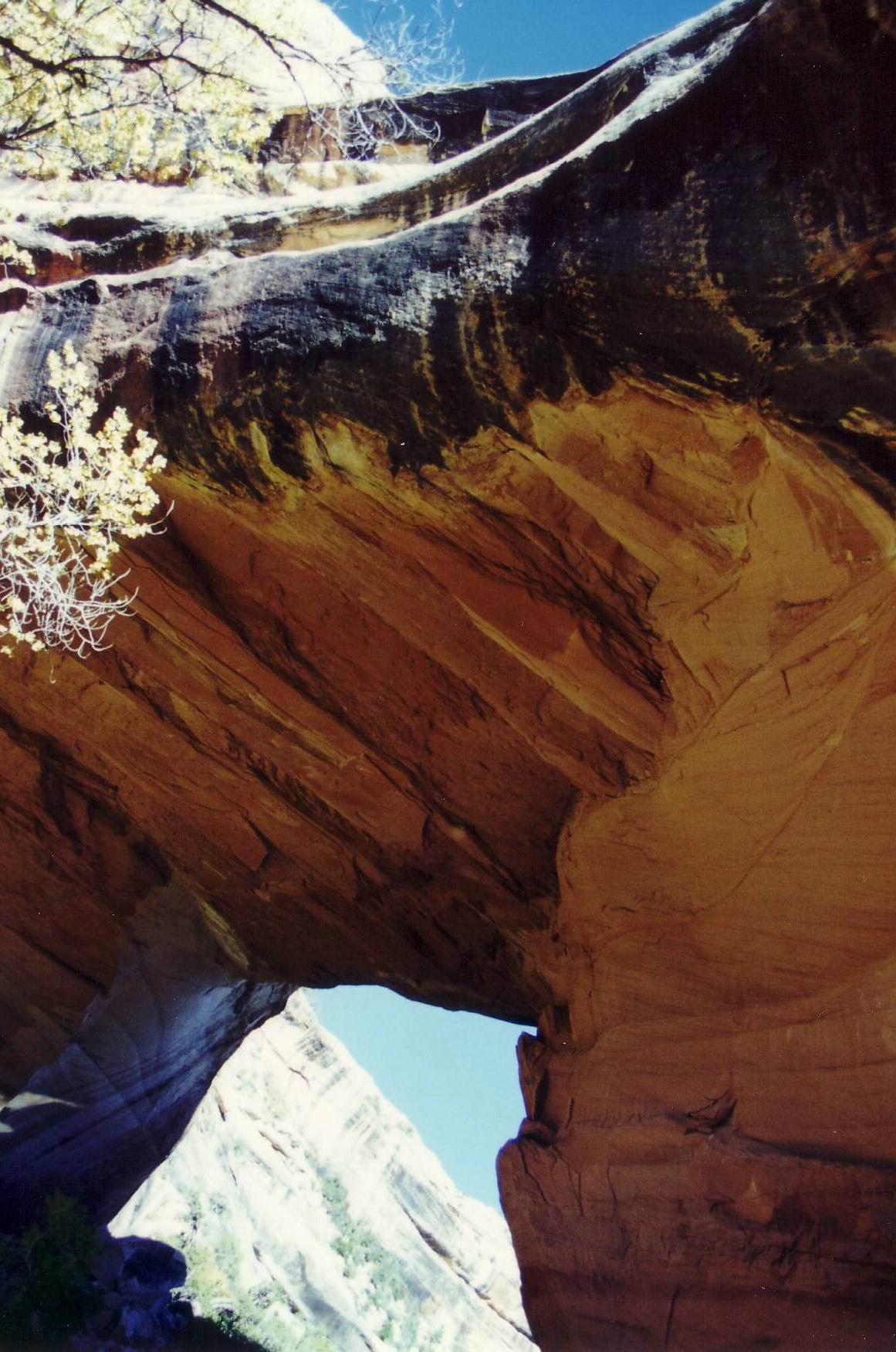 Steinbr&uuml;cke im Natural Bridges National Monument