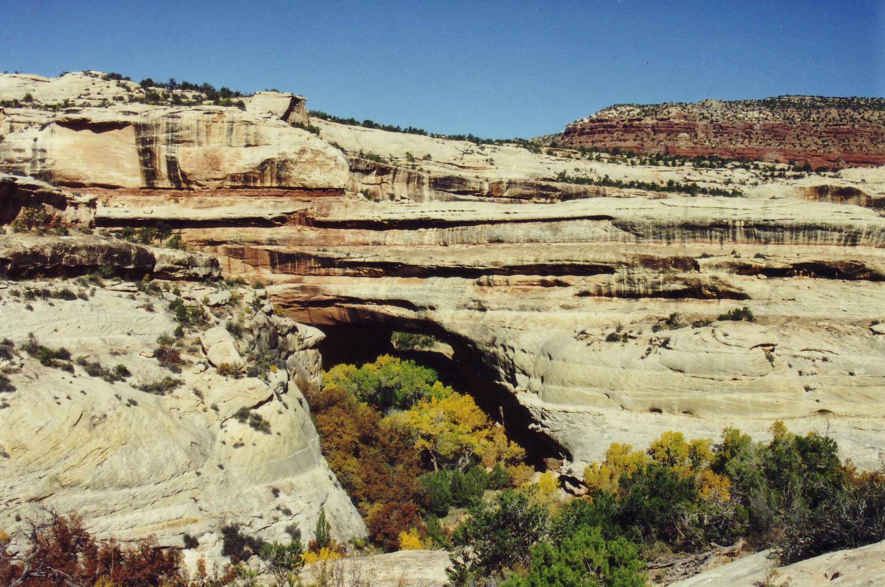Natural Bridges National Monument
