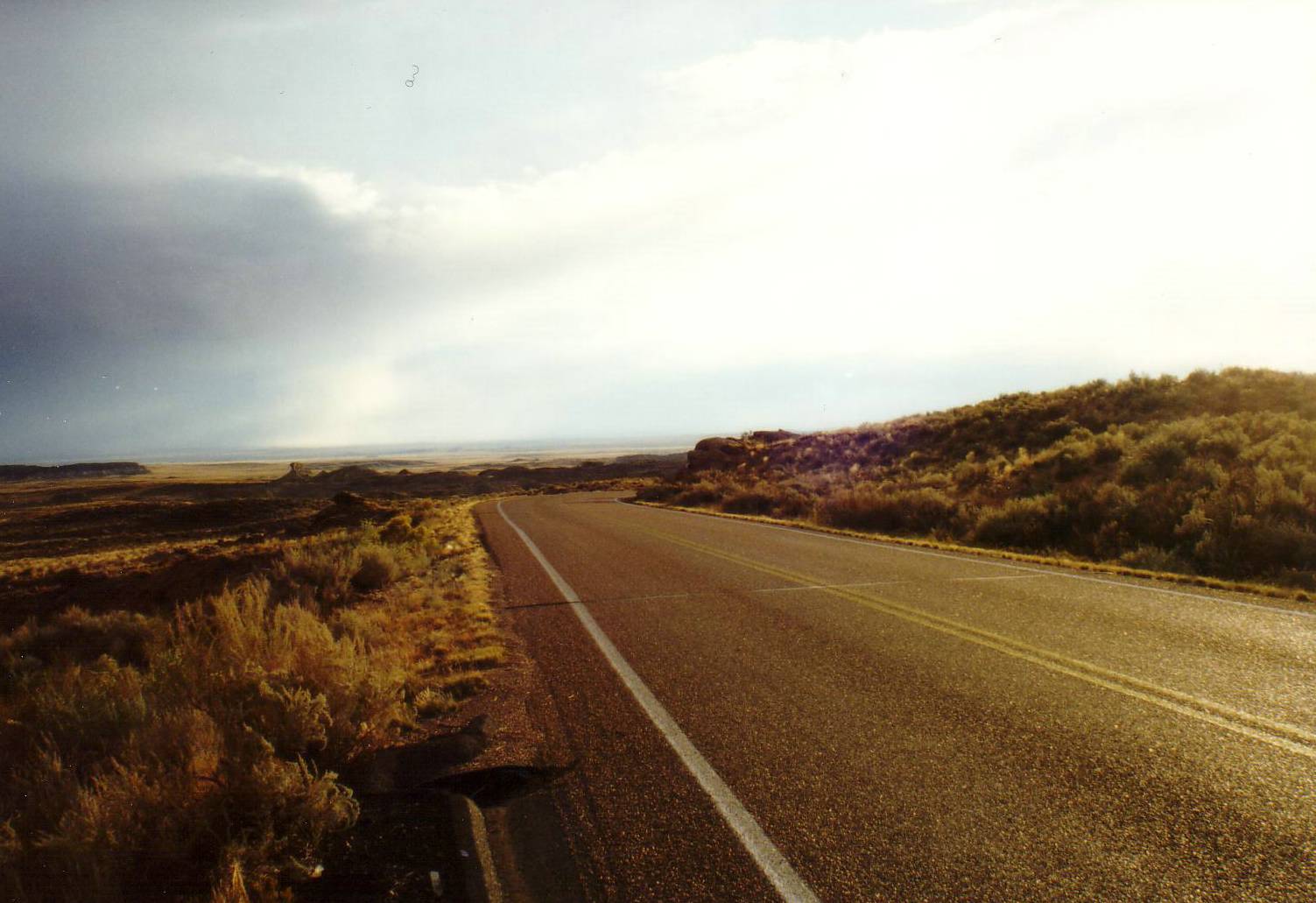 Auf dem Weg zum Pertified Forest National Park