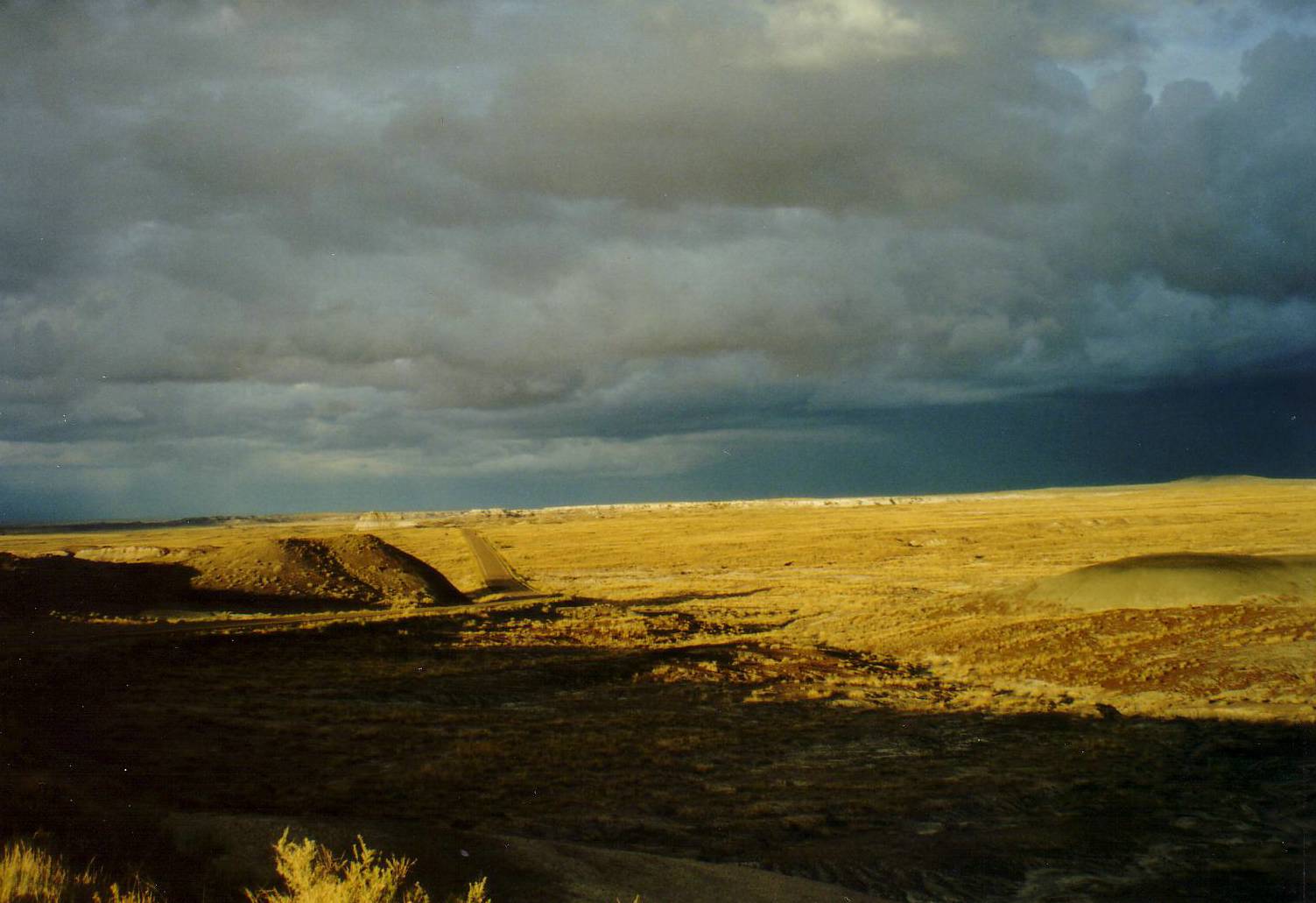 Petrified Forrest National Park