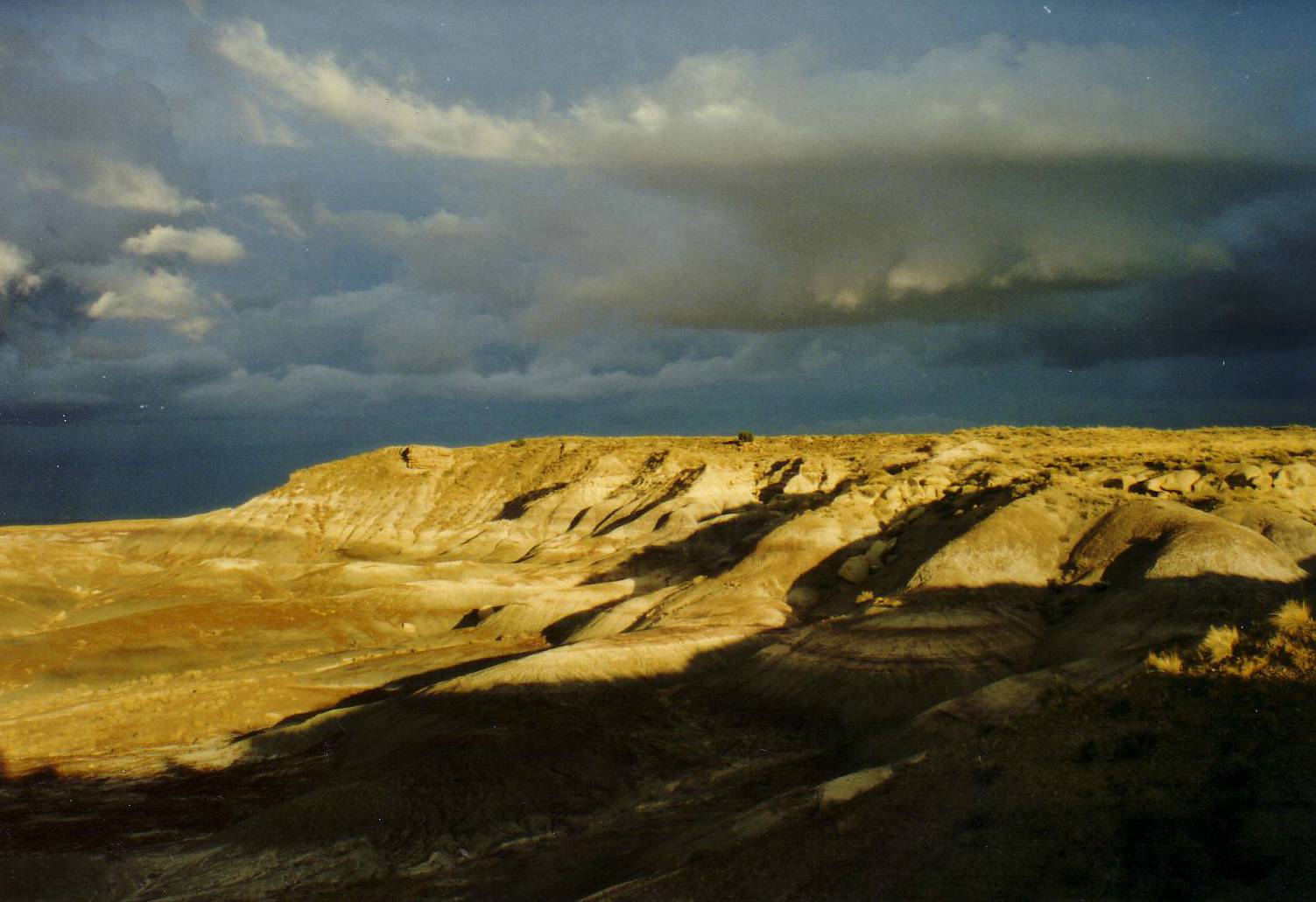 Petrified Forrest National Park