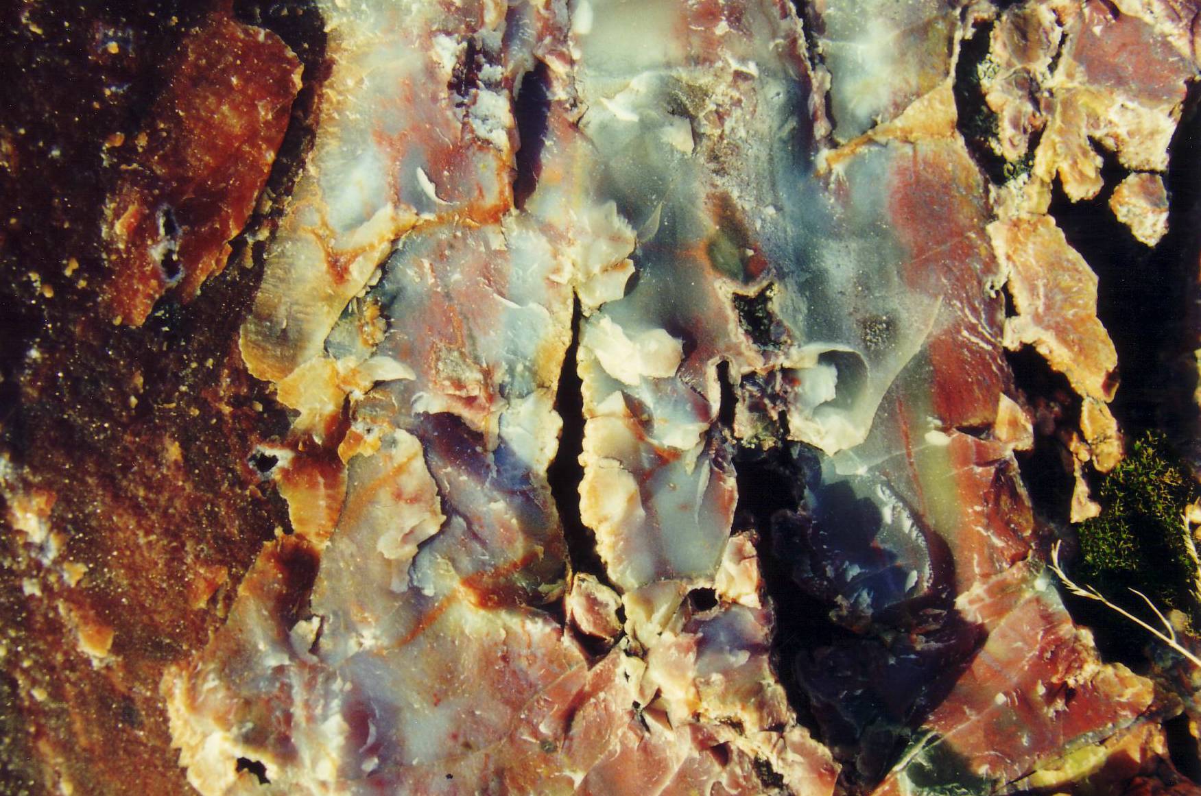 Das versteinerte Holz im Petrified Forrest National Par.....