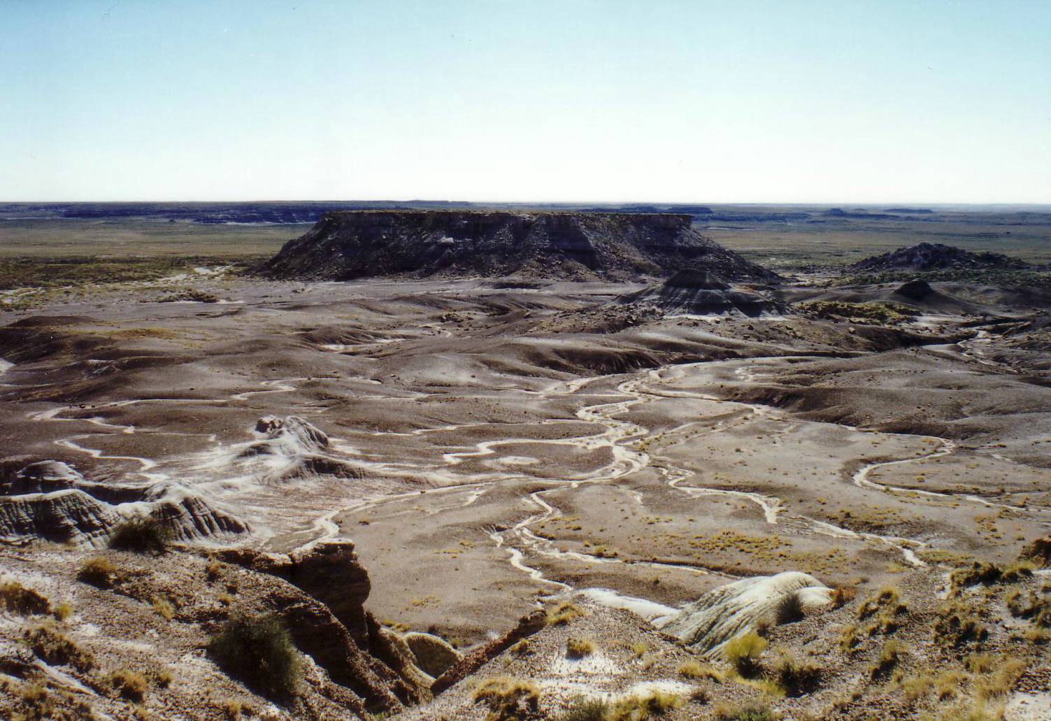Mondlandschaft im Petrified Forest National Park