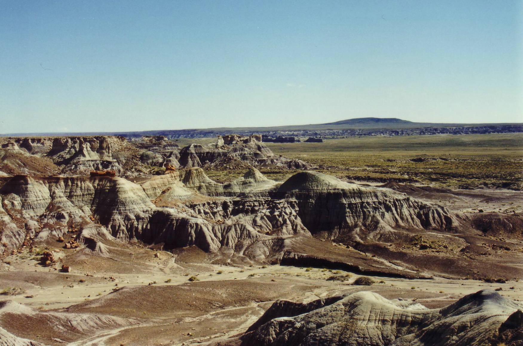 Petrified Forest National Park