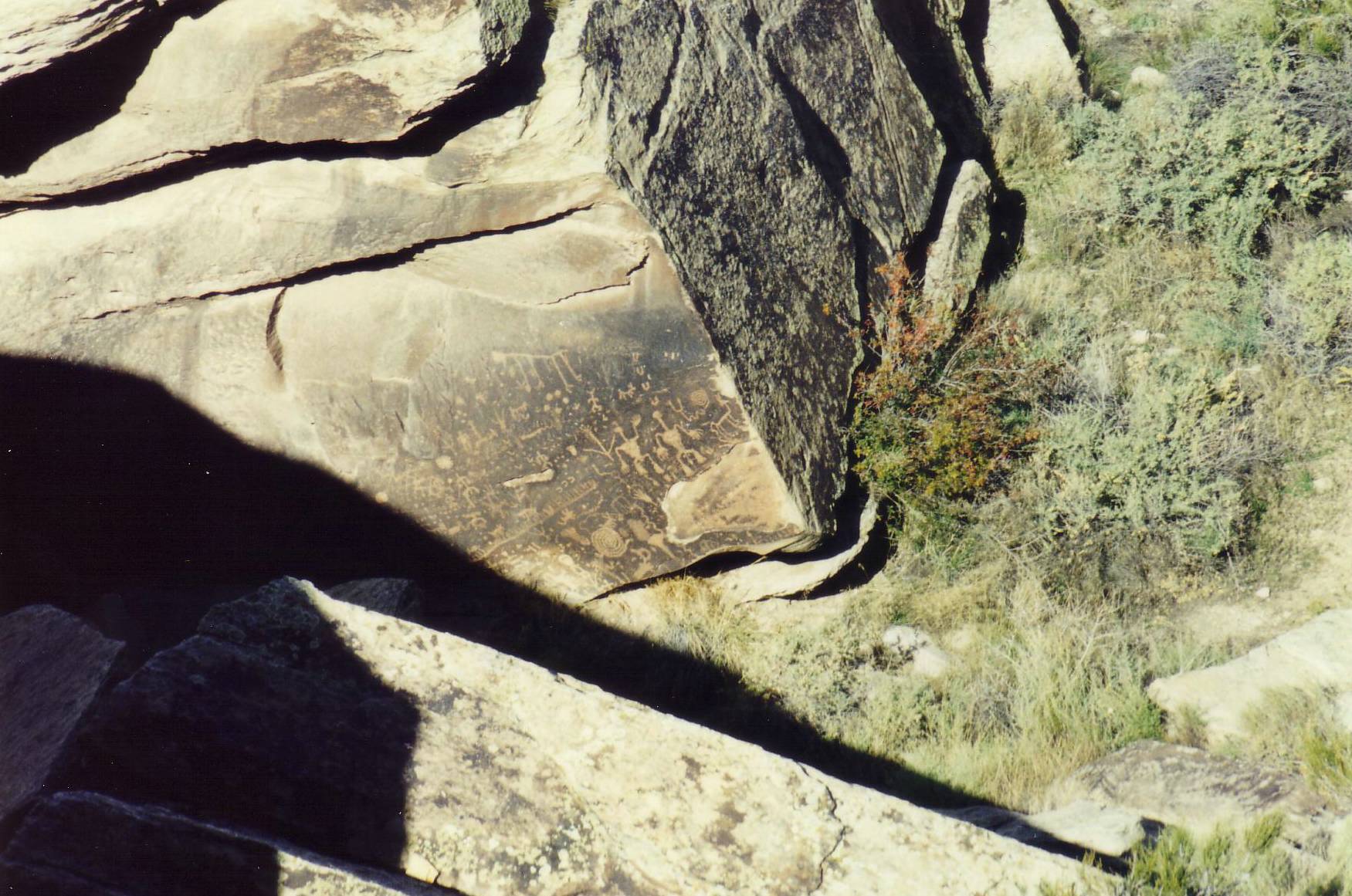 Indianerzeichnungen im Petrified Forest National Park