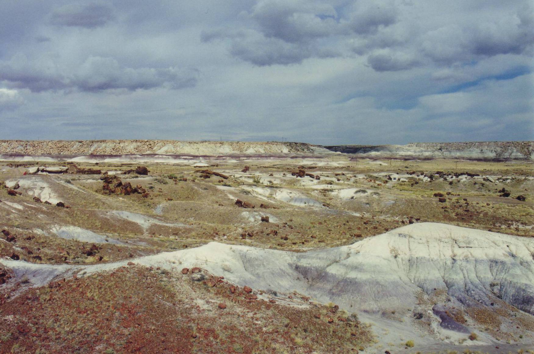 Petrified Forest National Park