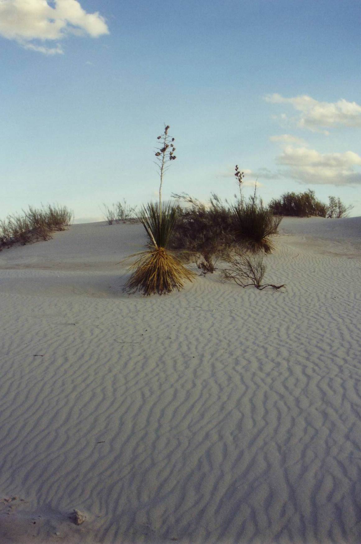 White Sands National Monument