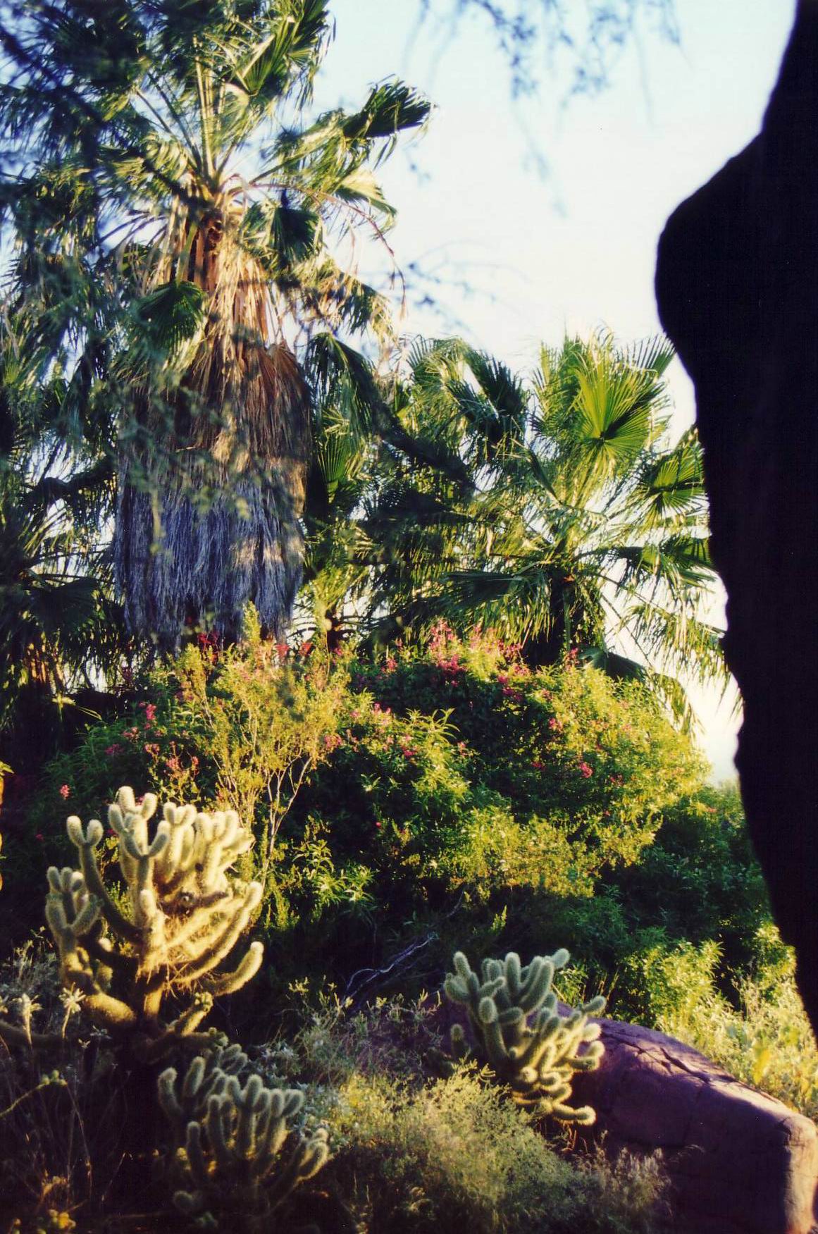 Arizona Sonora Desert Museum bei Tuscon