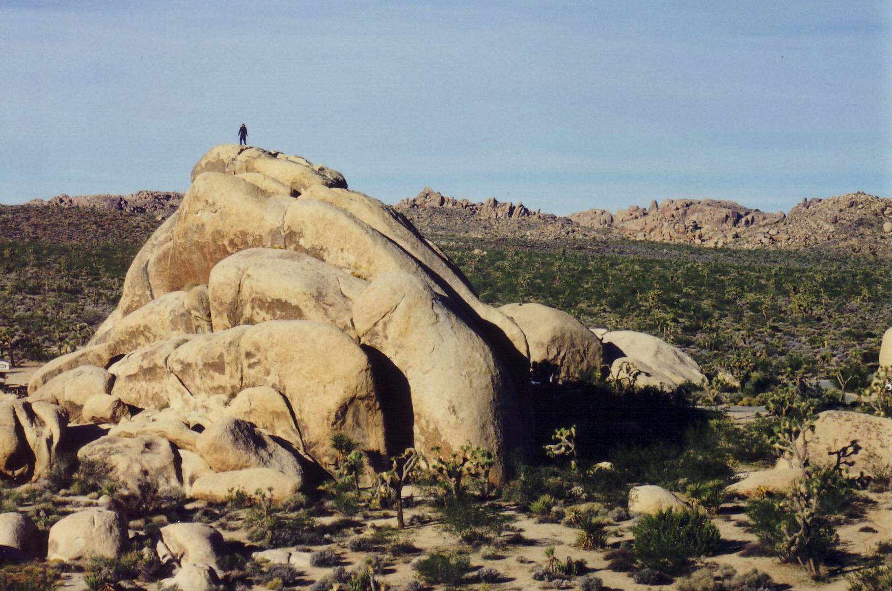 Felsformationen im Joshua Tree National Park