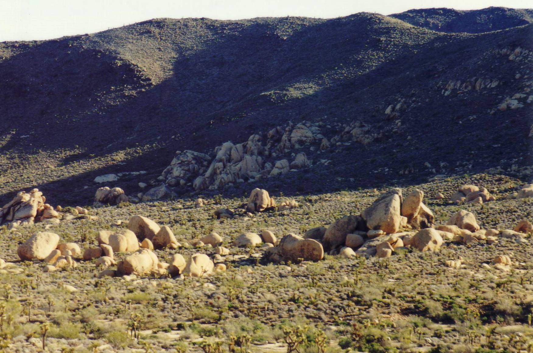 Felsformationen im Joshua Tree National Park