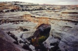 Natural Bridges National Monument