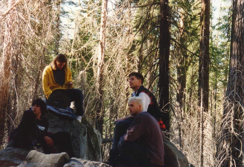 Kurze Pause im Mariposa Grove (Yosemite National P.....