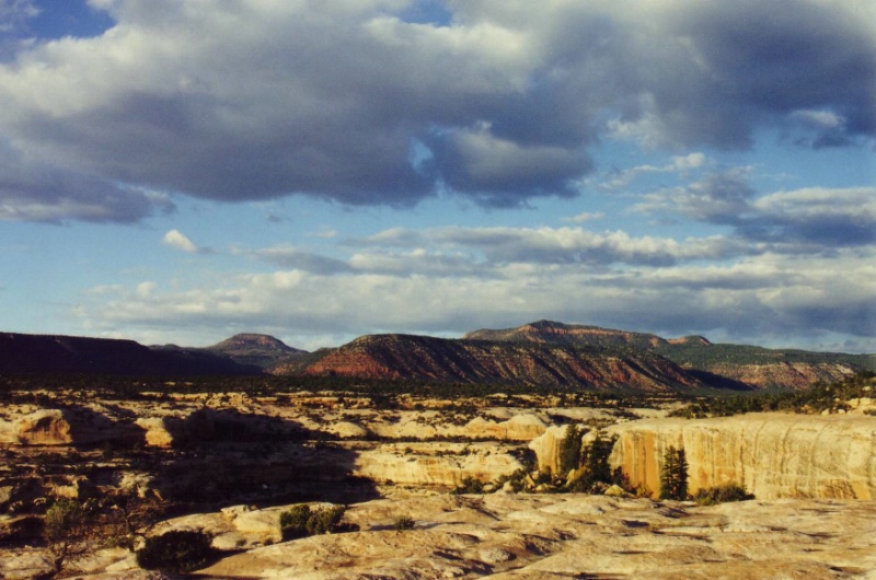 Natural Bridges National Monument