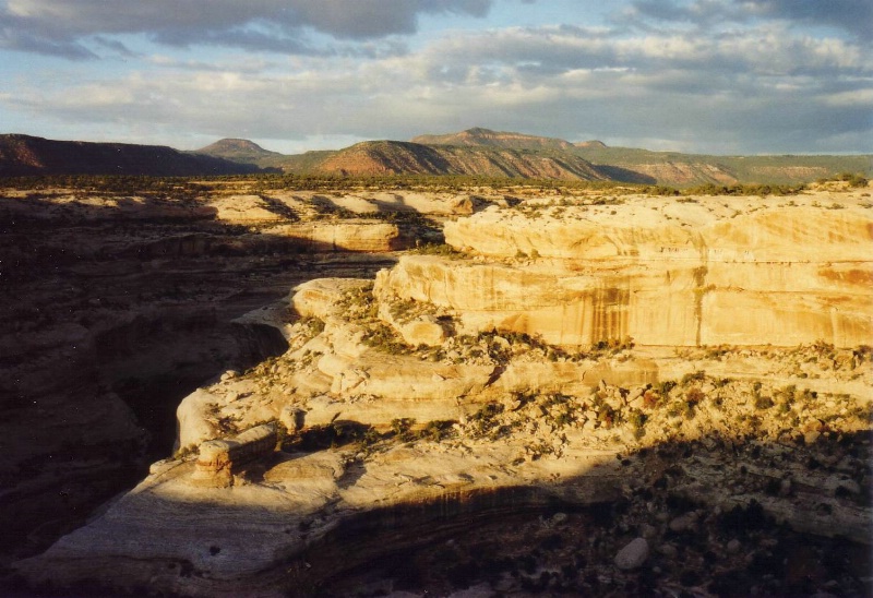 Natural Bridges National Monument