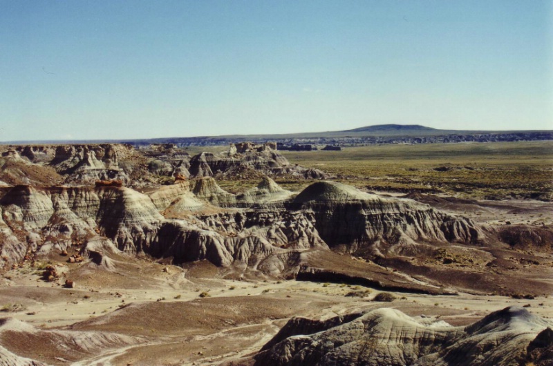 Petrified Forest National Park
