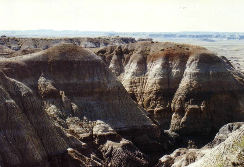 Diese gestreiften H&uuml;gel im Petrified Forest Nation.....