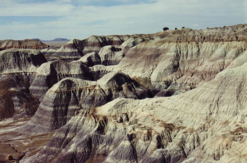 Diese gestreiften H&uuml;gel im Petrified Forest Nation.....