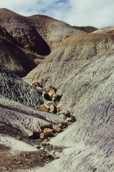 Ausgetrockneter Wasserlauf im Petrified Forest Nat.....