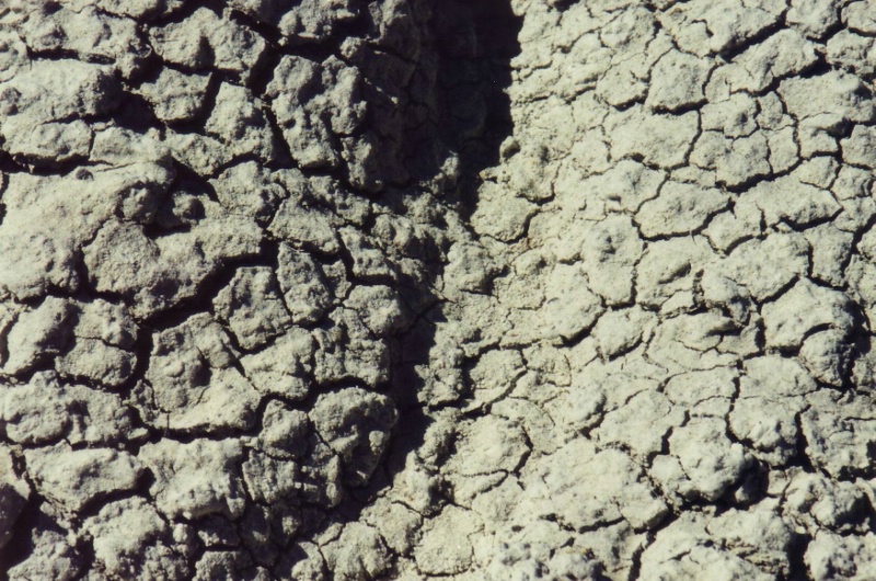 Unter diesen Lehmkursten sind noch Massenhaft vers.....