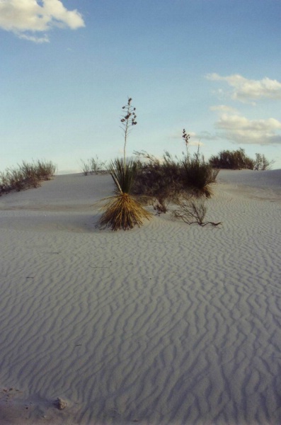 White Sands National Monument
