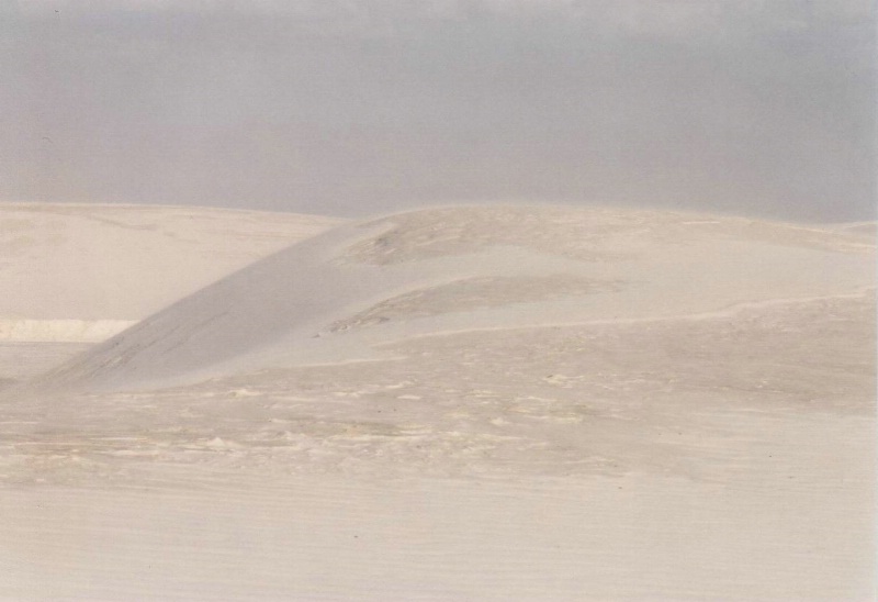 Weisse Sandd&uuml;nen soweit das Auge reicht im White S.....