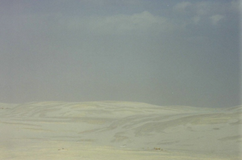Weisse Sandd&uuml;nen soweit das Auge reicht im White S.....