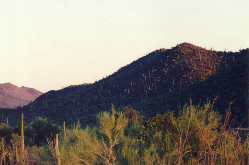 Die H&uuml;gellandschaft bei Tuscon ist von abertausend.....
